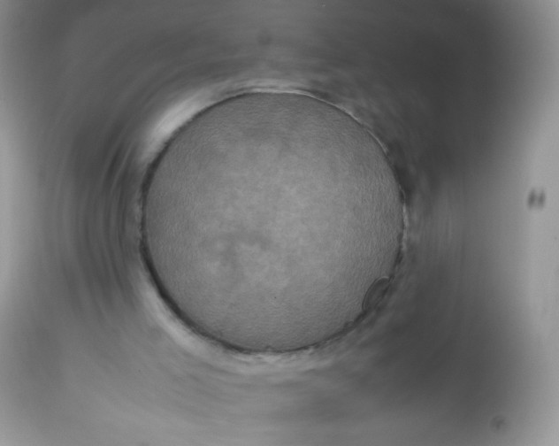 X0000113070005200909182036