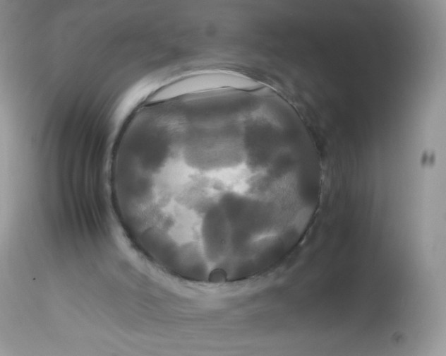 X0000113070006200909182036