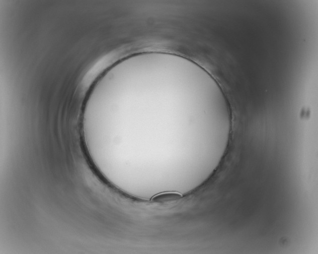 X0000113070007200909182036