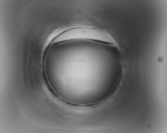 X0000113070008200909182036