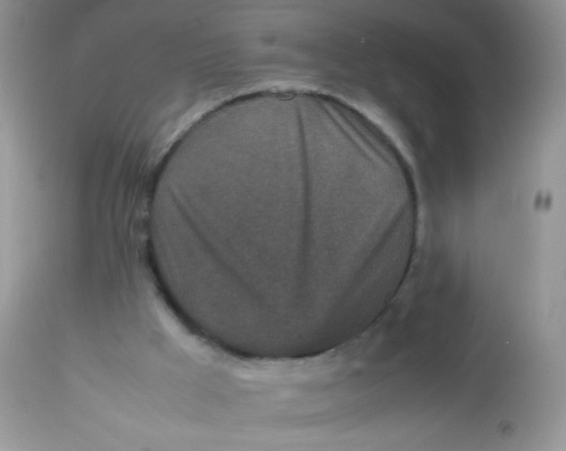 X0000113070009200909182036