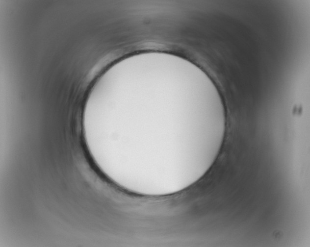 X0000113070011200909182036