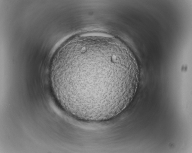 X0000113070012200909182036