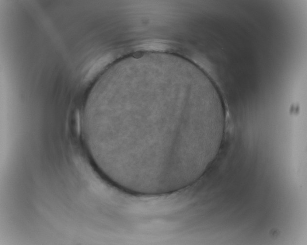 X0000113070013200909182036