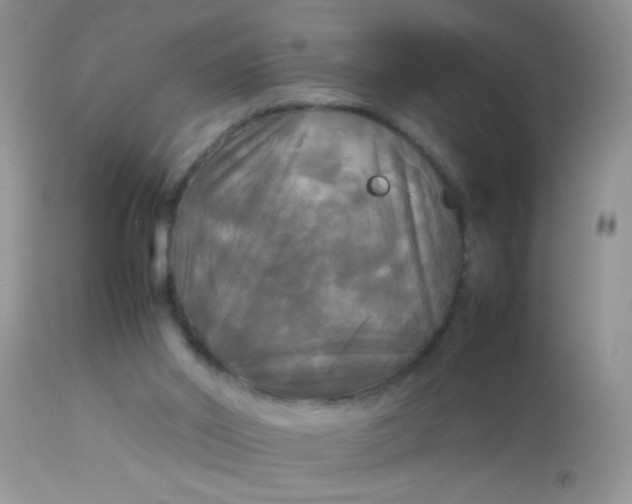 X0000113070014200909182036