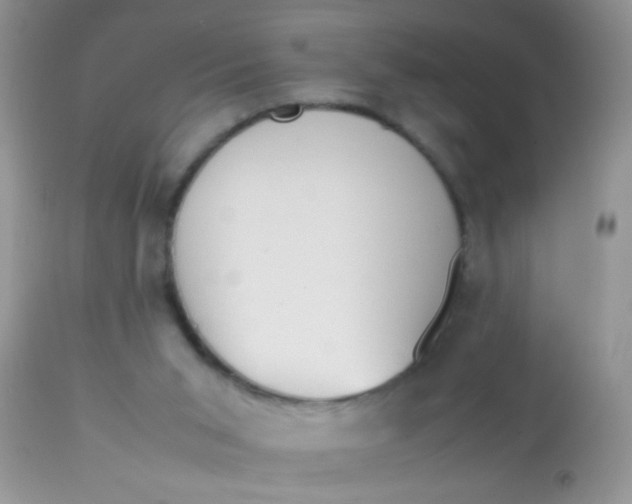 X0000113070015200909182036
