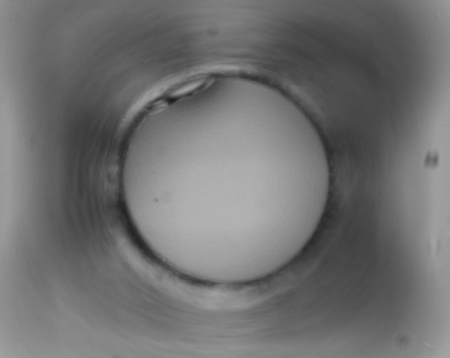X0000113070016200909182036