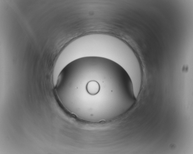 X0000113070017200909182036