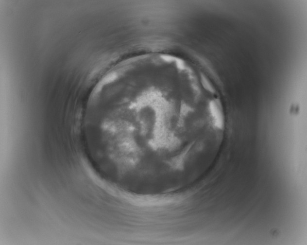 X0000113070018200909182036
