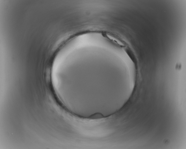 X0000113070019200909182036
