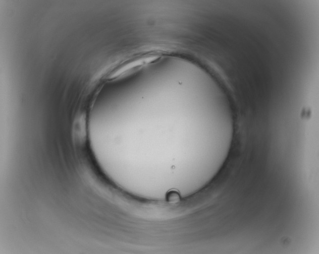 X0000113070020200909182036