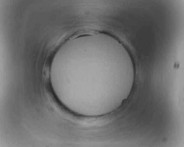 X0000113070021200909182036