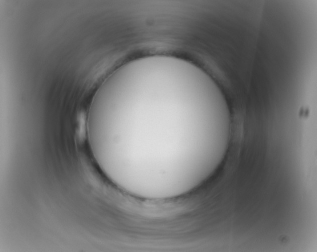 X0000113070022200909182036