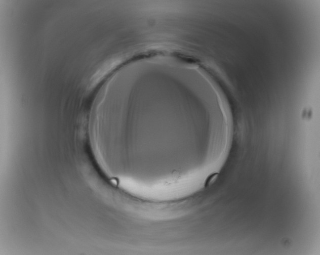 X0000113070023200909182036