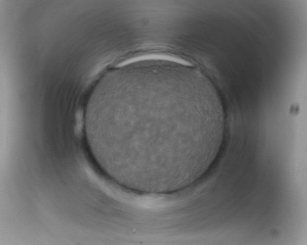 X0000113070024200909182036