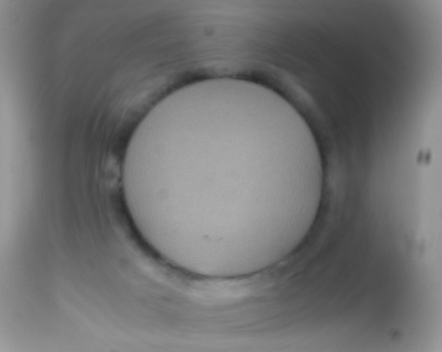 X0000113070025200909182036