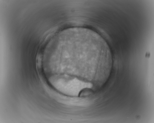 X0000113070026200909182036