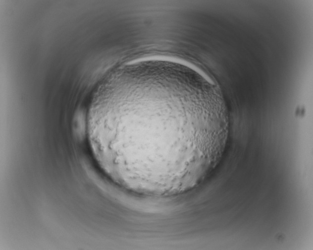 X0000113070028200909182036