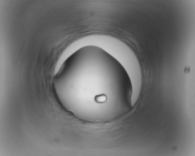 X0000113070029200909182036