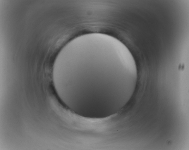 X0000113070031200909182036