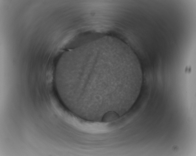 X0000113070032200909182036