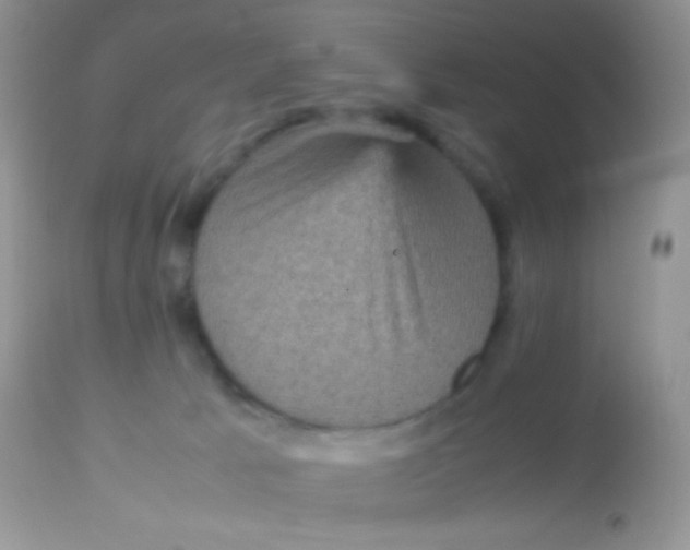 X0000113070033200909182036