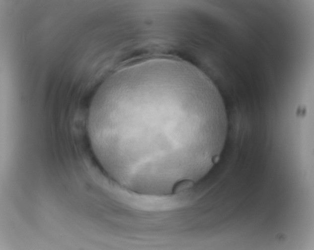 X0000113070034200909182036