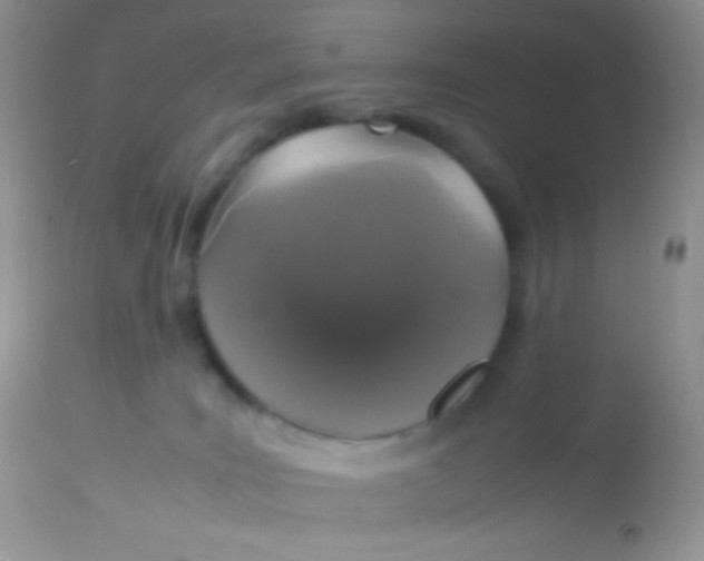 X0000113070035200909182036