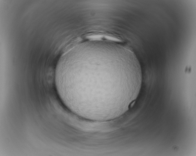 X0000113070036200909182035