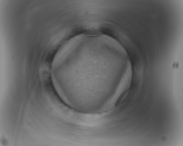 X0000113070037200909182035
