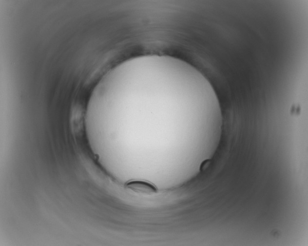 X0000113070038200909182035