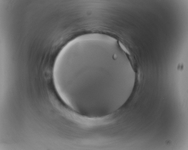 X0000113070039200909182035
