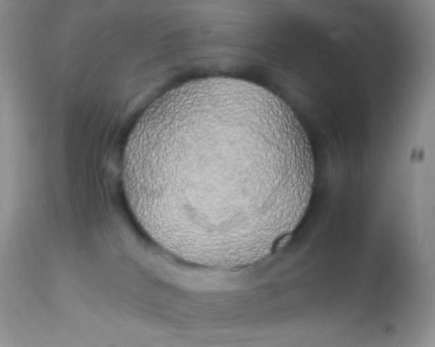 X0000113070040200909182035