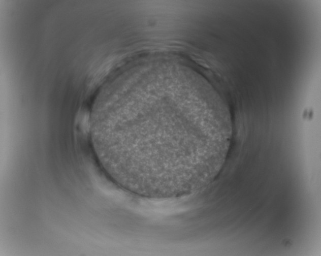 X0000113070041200909182035