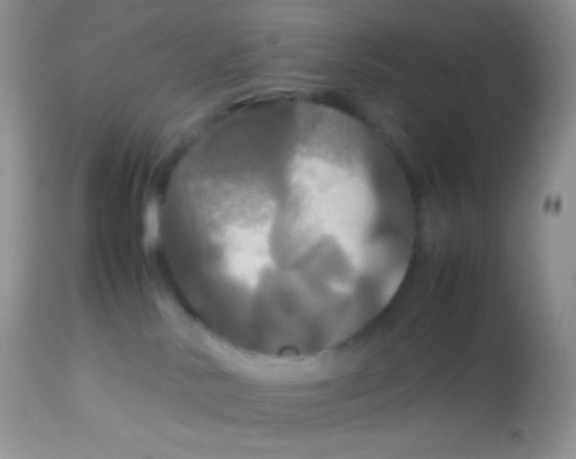 X0000113070042200909182035