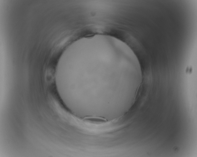 X0000113070043200909182035