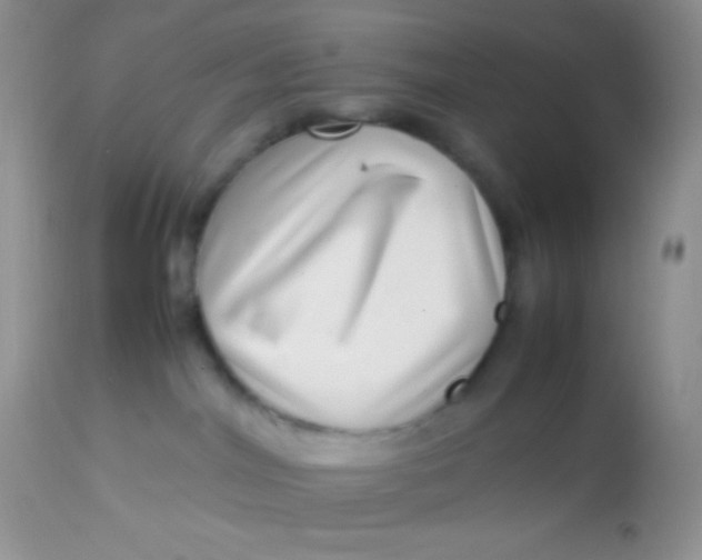 X0000113070044200909182035