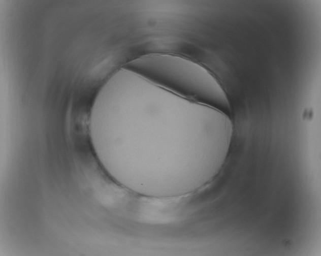 X0000113070045200909182035
