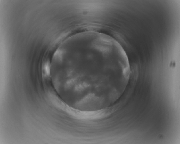 X0000113070046200909182035