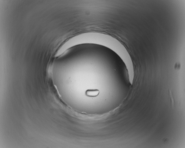 X0000113070047200909182035