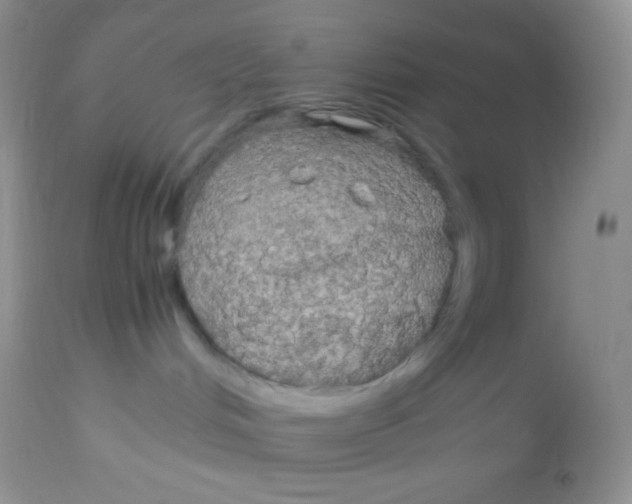 X0000113070048200909182035