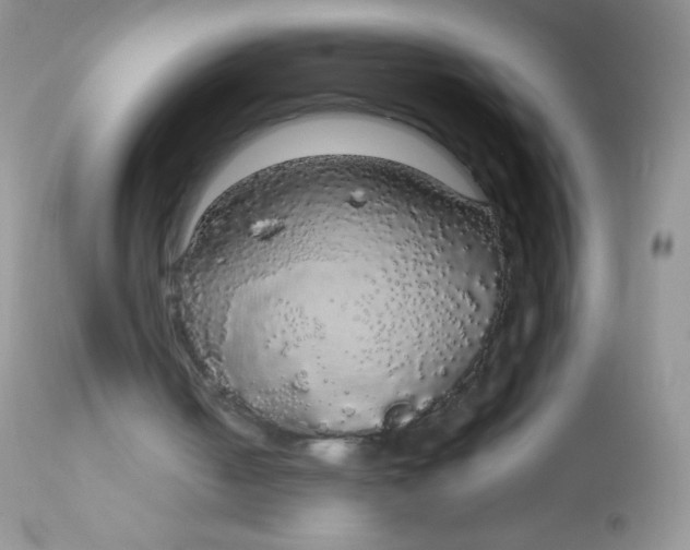 X0000113070050200909182034