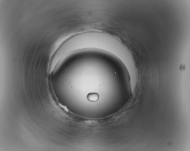 X0000113070052200909182034