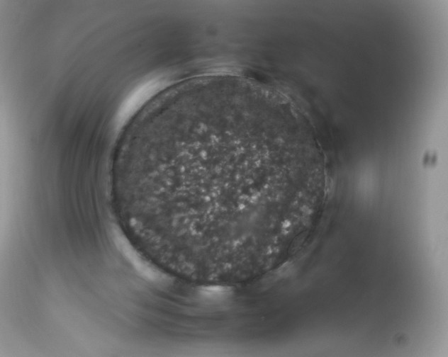 X0000113070053200909182034