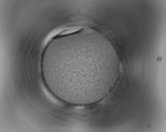 X0000113070054200909182034