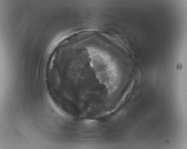 X0000113070055200909182034