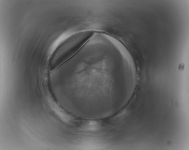 X0000113070056200909182034