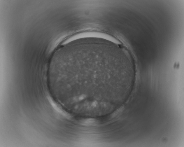 X0000113070058200909182034