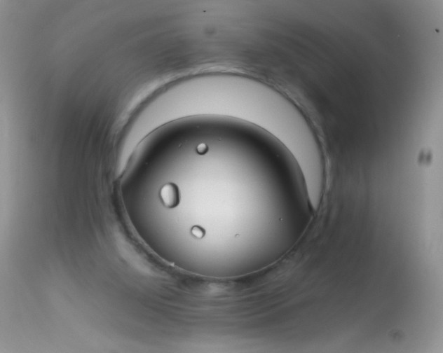 X0000113070060200909182035