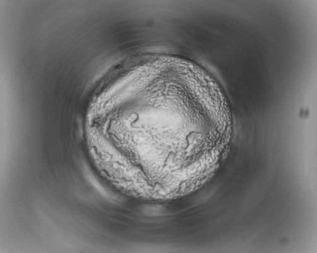 X0000113070061200909182035